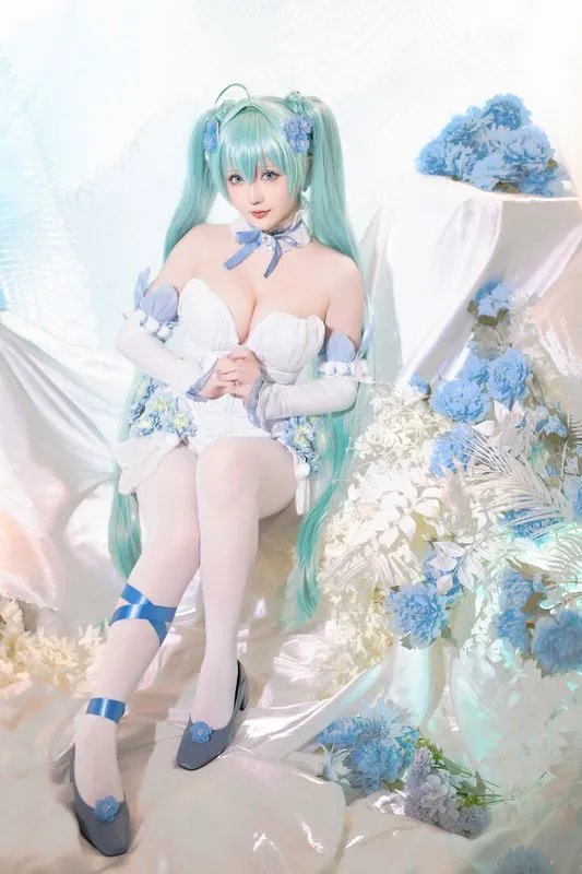 [星之迟迟] [40P+14S+1V - 4607MB] Vocaloid - 初音未来